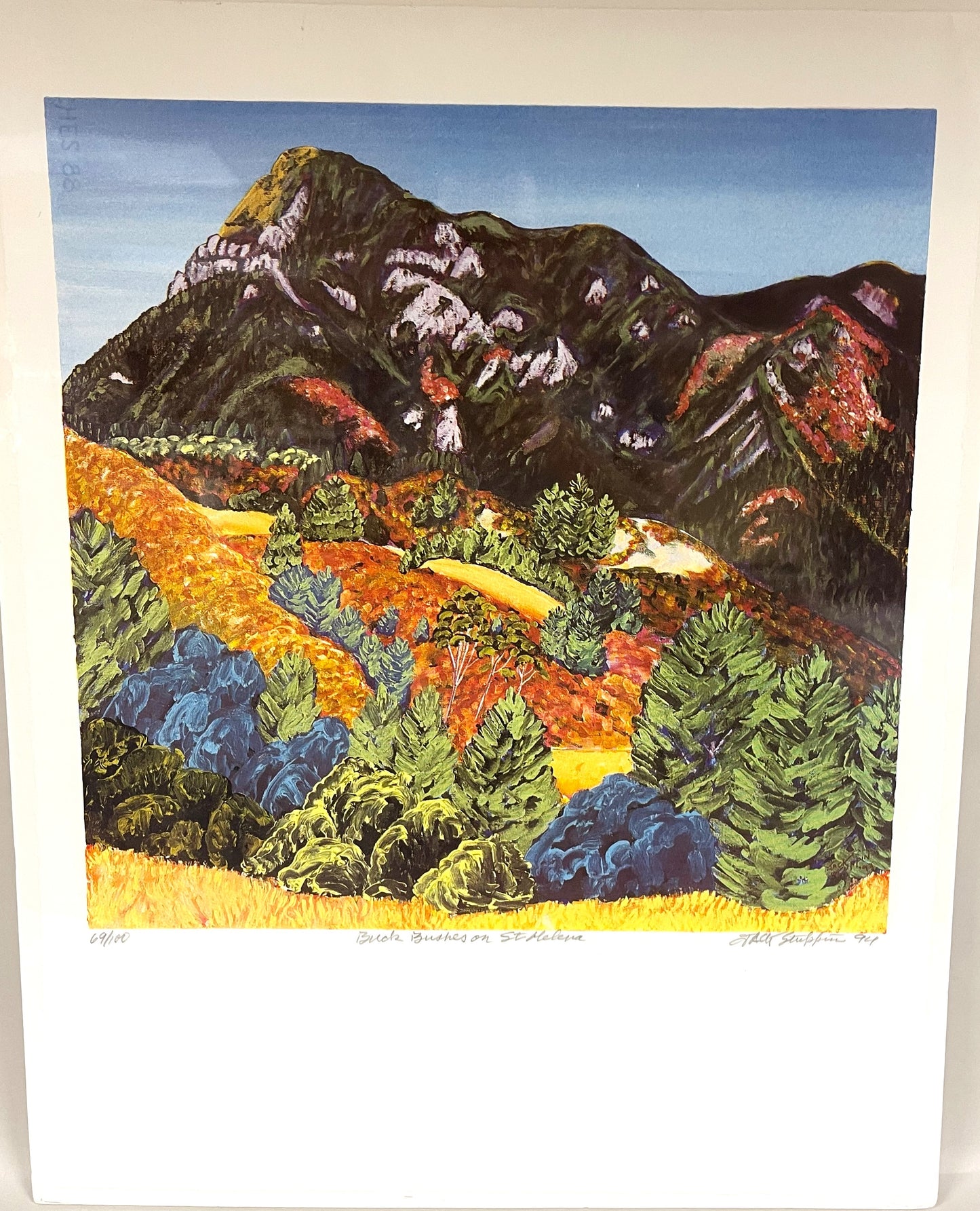 Silkscreen - Buck Bushes on St. Helena